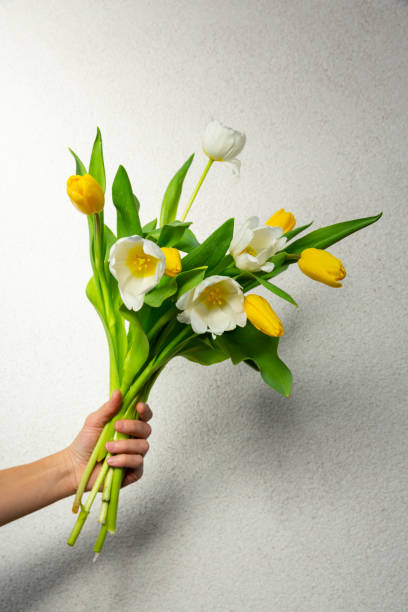 istock bouquet of tulips on hand on white background 1193276067