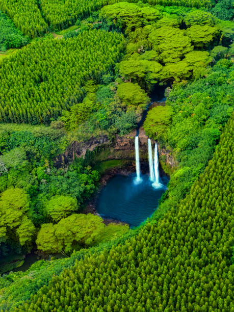 vue aérienne des chutes d'eau de wailua à hawai - hawaii islands mountain kauai sea photos et images de collection