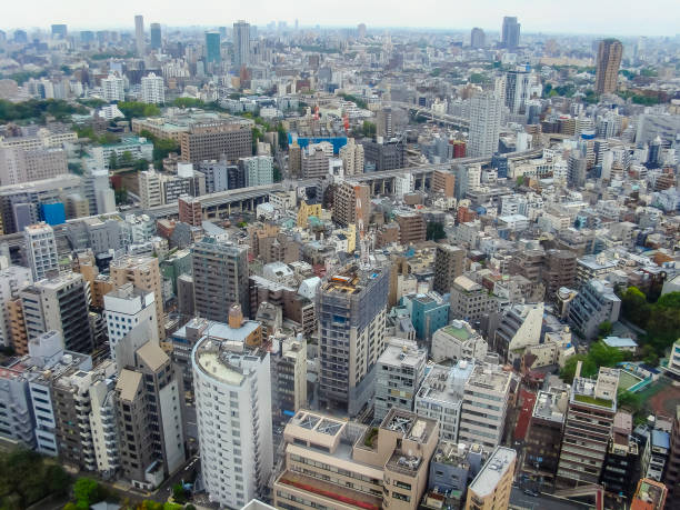 istock Panoramic view of Tokyo, Japan 1193280920