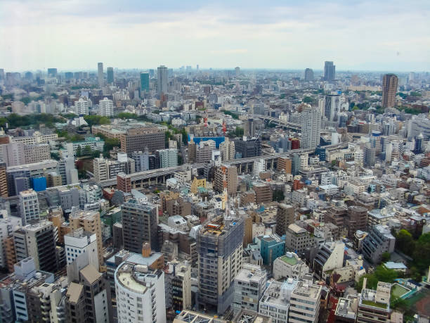 istock Panoramic view of Tokyo, Japan 1193281019