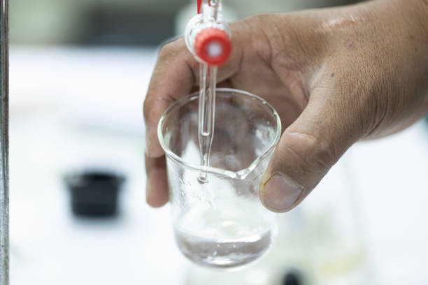 Solitary beaker on white