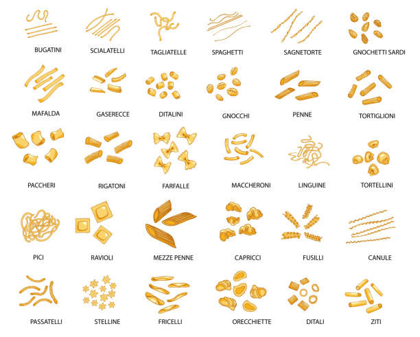 hand gezeichnet große satz von verschiedenen arten von italienischen pasta. vektor-illustration, farbig. - pasta stock-grafiken, -clipart, -cartoons und -symbole