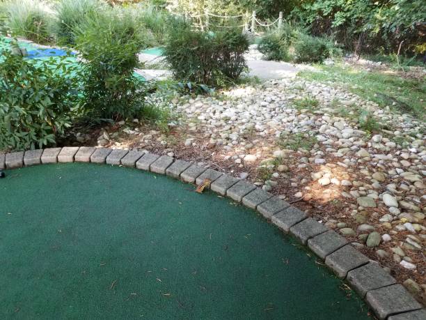 istock chipmunk on green miniature golf course grass with rocks 1193286865