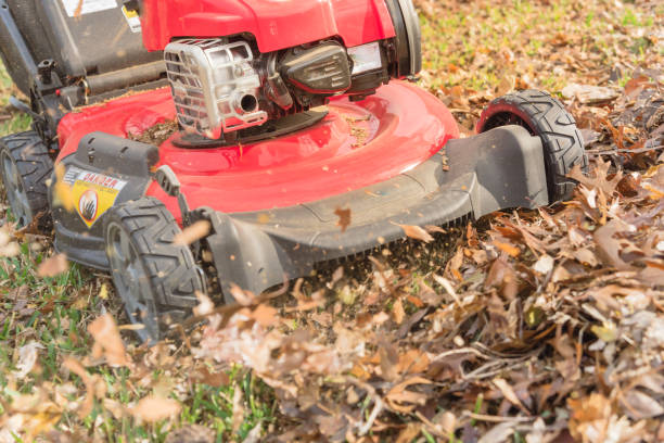 Working lawn mower mulching autumn leaves for lawn care in Texas, USA stock photo