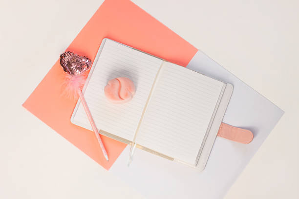 istock Valentine flatlay. Blank diary, pink heartshaped pen feathers on white background. Notebook mockup, cute girlish style. 1193290048