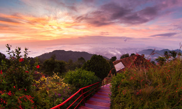 istock George Town City view from Penang Hill during dawn 1193290361