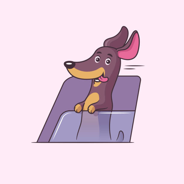 illustrazioni stock, clip art, cartoni animati e icone di tendenza di cucciolo di bassotto felice - dog car