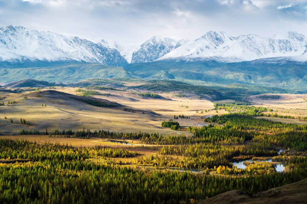 chuya river valley et la chaîne north chuysky - russia river landscape mountain range photos et images de collection