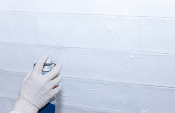 istock cleaning the kitchen; cleaning ceramic tiles with a cleaning agent. 1193293906