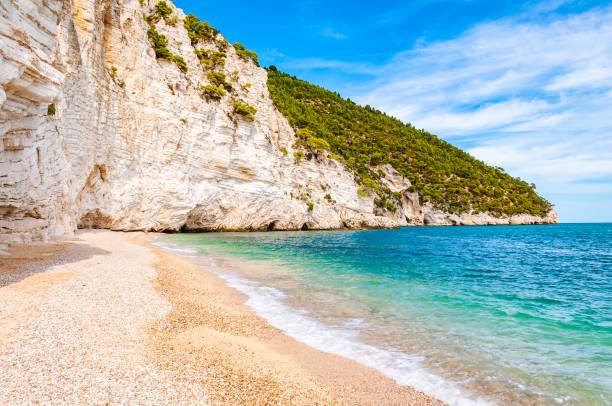 istock Beautiful pebble beach surrounded by high massive white limestone rocky cliffs eroded by Adriatic sea waves and wind. Green Aleppo pines growing on the rocks. Emerald water washing the coastline 1193294704
