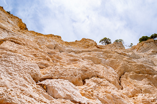 High angle view on high massive white limestone rocky cliffs eroded by Adriatic sea waves and wind. Green Aleppo pines growing on the rocks.