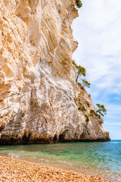 istock Beautiful pebble beach surrounded by high massive white limestone rocky cliffs eroded by Adriatic sea waves and wind. Green Aleppo pines growing on the rocks. Emerald water washing the coastline 1193294976