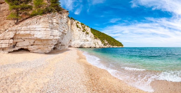 istock Beautiful pebble beach surrounded by high massive white limestone rocky cliffs eroded by Adriatic sea waves and wind. Green Aleppo pines growing on the rocks. Emerald water washing the coastline 1193295064