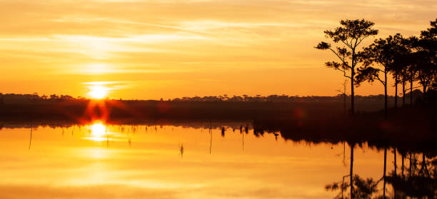 istock Glowing sun setting into pine forest and wonderful lake. 1193298827