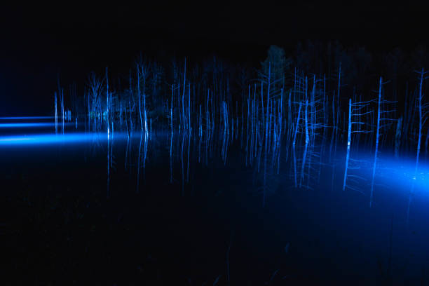 istock Illuminated lake at night in Biei 1193298913