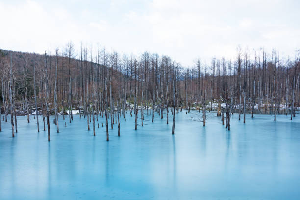 istock Frozen winter lake in Biei 1193299072