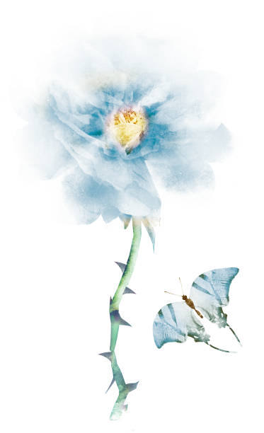 istock Watercolor flower , isolated on white background 1193303509