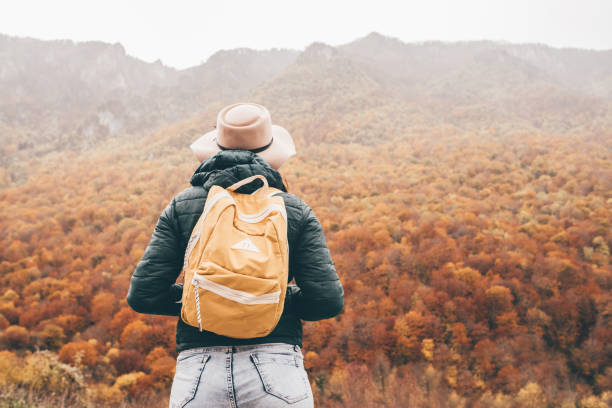 istock Admiring beautiful nature 1193304066