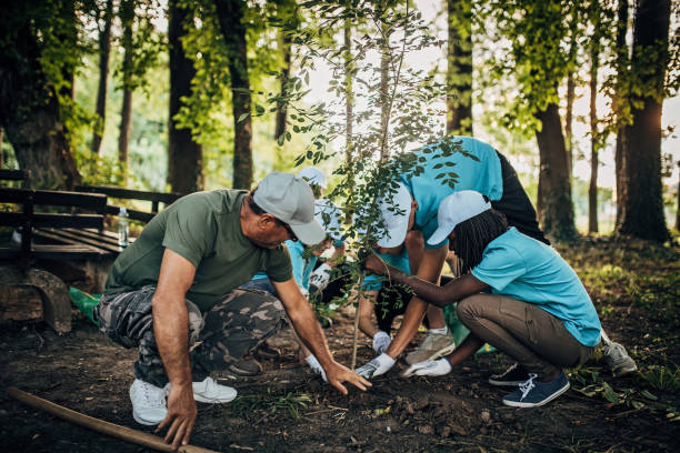 istock People planting a tree in park 1193306305