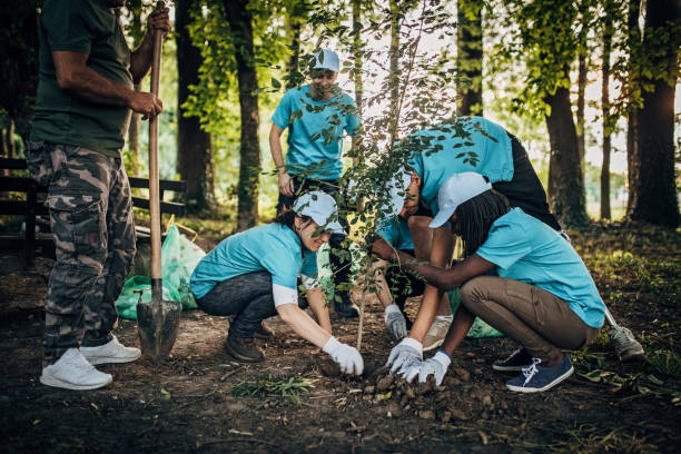 istock People planting a tree in park 1193306391