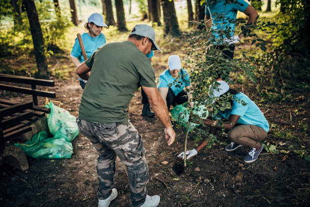 istock People planting a tree in park 1193306433