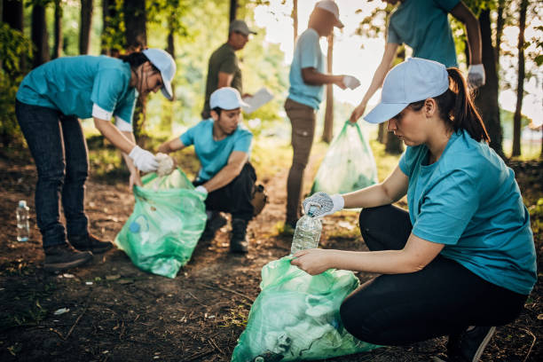 istock Volunteers in the park 1193308001