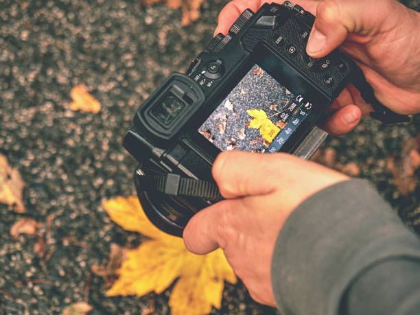 istock Hands of artist working with modern camera. Artist create 1193313525