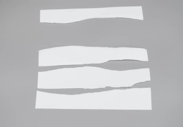 istock White paper torn isolated on gray background. Sheet paper rip 1193313945