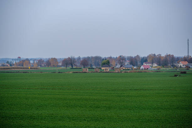 istock countryside fields and meadows in autumn. scenic view 1193314153