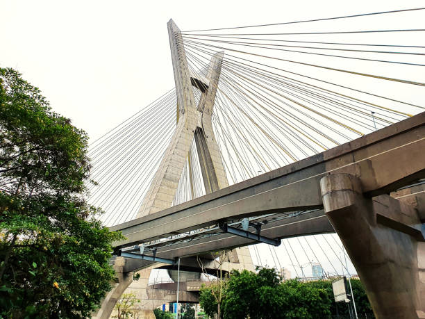 istock Famous cable-stayed bridge at Sao Paulo city. 1193315340
