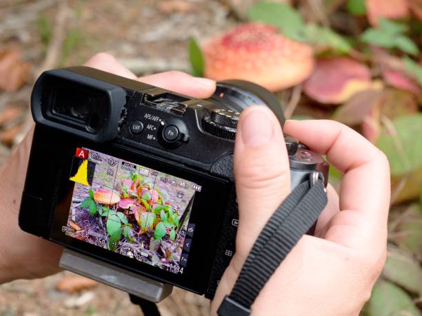istock Artist photographs with  small camera mushroom 1193315358