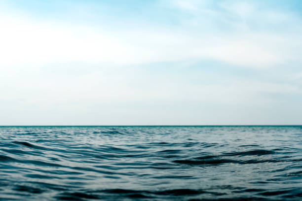 istock Natural dark blue seawater surface with blue sky 1193317993