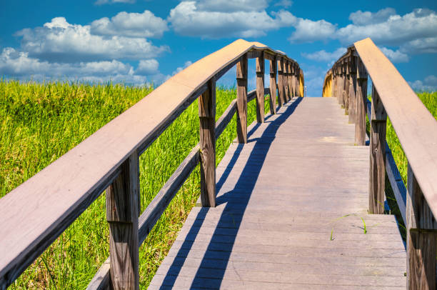 istock Walkway to a Perfect Summer Day 1193318058