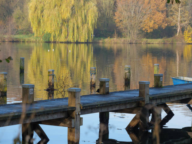 istock autumn at a river in germany 1193319777