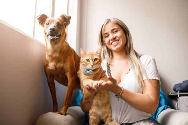 huisdier familie portret - cat and dog stockfoto's en -beelden