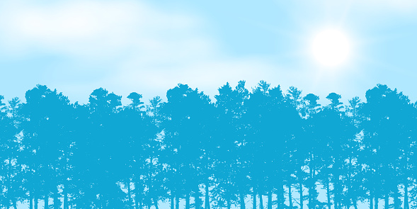 Realistic illustration of blue sky with white clouds and space for text. Tops of coniferous forest trees, pine tree and shining sun, sunbeam - vector