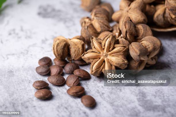 A Pile Of Dried Sacha Inchi Nuts Natural Background In Lighting Studio Stock Photo - Download Image Now