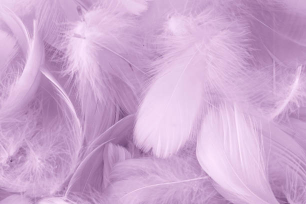istock Beautiful soft pink color trends feather pattern texture background 1193330980