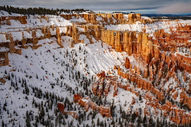 istock Hoodoos and Snow From  Bryce Point 1193331497