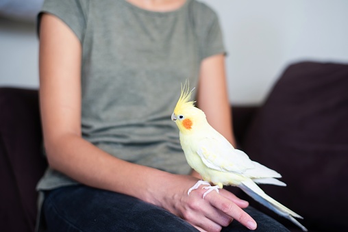 A mid adult woman with her pet bird sitting on her finger.