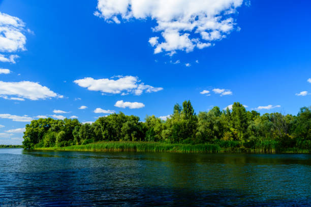 istock Summer landscape with the green trees and river 1193335857