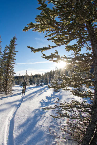 istock Fat Bike Canmore Nordic Centre 1193337710