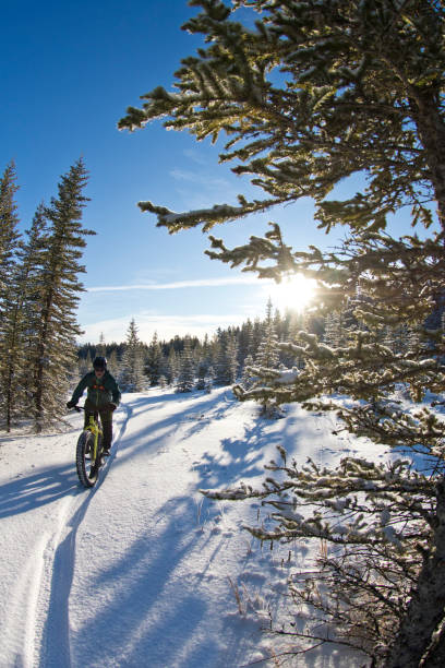 istock Fat Bike Canmore Nordic Centre 1193337779