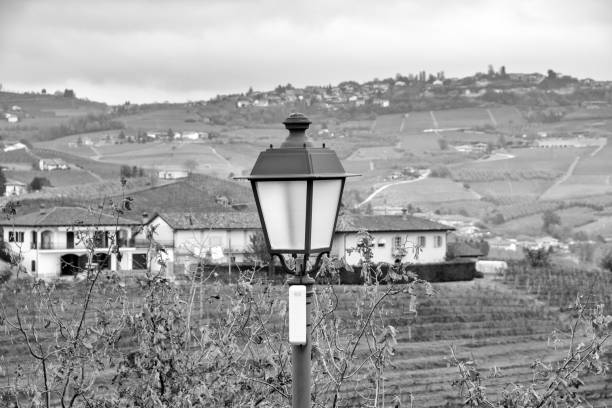 View of the world famous Barolo vineyards, in the hilly Region of Langhe (Piedmont, Northern Italy) during fall season; this area has been nominated UNESCO site since 2014.