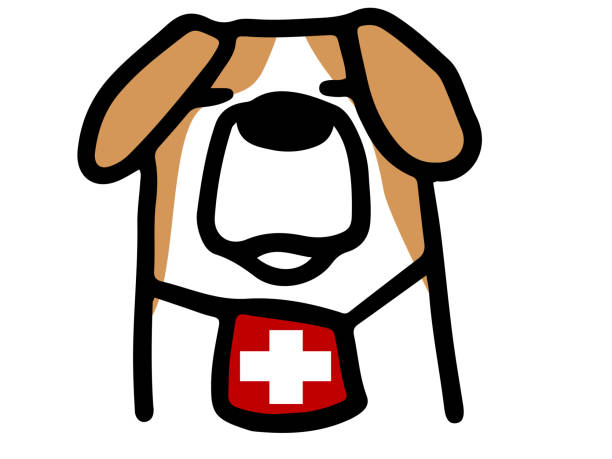 ilustraciones, imágenes clip art, dibujos animados e iconos de stock de icono de animales lindos - saint bernard