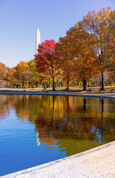 istock Autumn reflections on Constitution Gardens Pond 1193344089