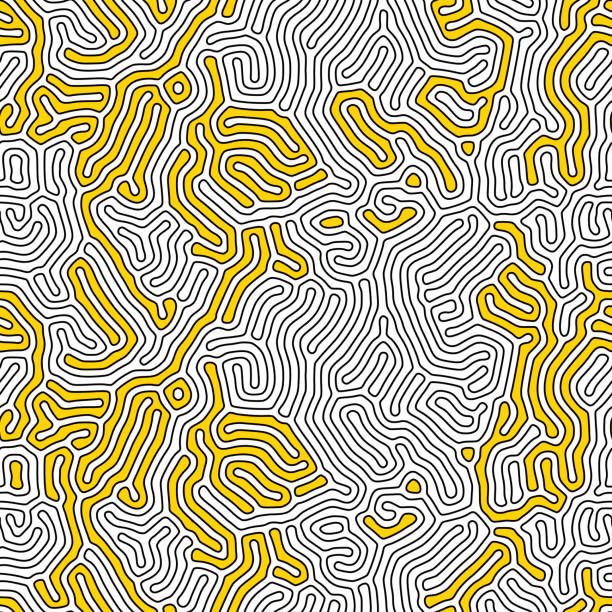 Organic background with rounded lines. Diffusion reaction seamless pattern. Linear design with bionic shapes. Abstract vector illustration in black, yellow and white. Maze, coral, brain theme. Organic background with rounded lines. Diffusion reaction seamless pattern. Linear design with bionic shapes. Abstract vector illustration in black, yellow and white. Maze, coral, brain theme animal brain stock illustrations
