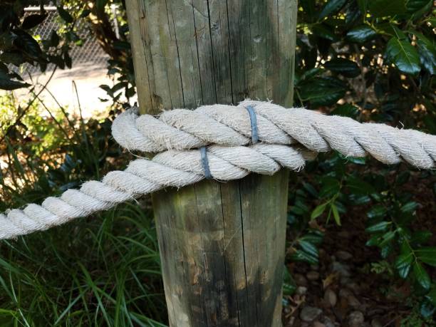 istock rope stapled or secured to a wood pole 1193346963