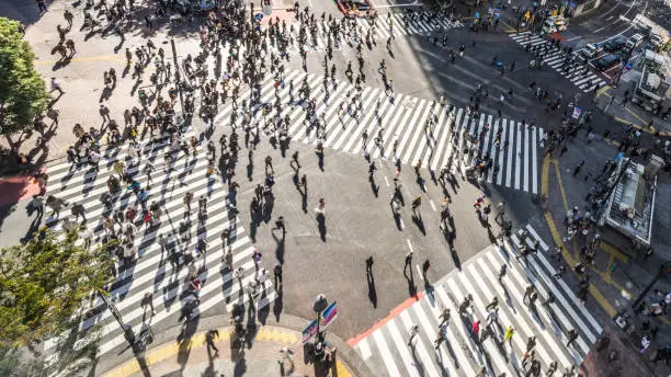 Crowded people walking, car traffic on Shibuya scramble crossing, high angle view. Tokyo tourist attraction, Japan tourism, Asia transportation or Asian city life concept