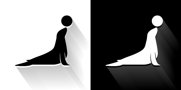 Sea Lion Black and White Icon with Long Shadow. This 100% royalty free vector illustration is featuring the square button and the main icon is depicted in black and in white with a black icon on it. It also has a long shadow to give the icons more depth.